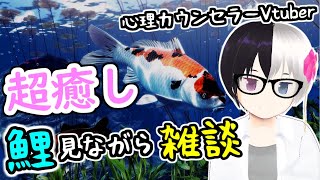 🔴【My koi】鯉を眺めながら超癒し癒され睡眠雑談配信【#Vtuber あくてん #心理カウンセラー #癒し】