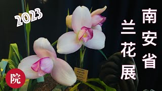 【彬彬有院】花 •1041【2023南部安省兰花展】，和我一起看看今年都有哪些漂亮又稀有的品种，像荷花一样的兰花，秘鲁稀有兰花品种；想做义工的朋友可以通过以下网站申请；我和朋友们申请做哪个义工的位置