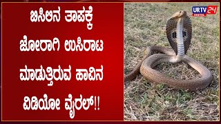 ಬಿಸಿಲಿನ ತಾಪಕ್ಕೆ ಜೋರಾಗಿ ಉಸಿರಾಟ ಮಾಡುತ್ತಿರುವ ಹಾವಿನ ವಿಡಿಯೋ ವೈರಲ್!!