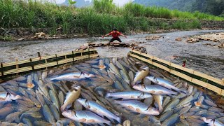 The boy Lam's unique fishing method. Caught a lot of fish in the stream. | Wandering boy