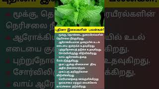 புதினா இலைகளின் நன்மைகள் ¦ benefits of Mint Leaves in Tamil