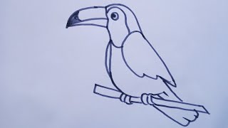 How to draw a toucan bird/ easy drawing step by step
