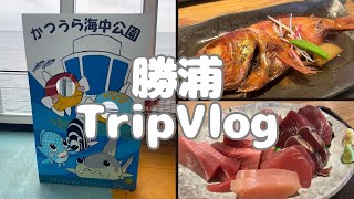 【旅行Vlog】勝浦を満喫！千葉県勝浦市🌟有名店で海鮮を食べて、海中展望塔で魚を見る🐟ブルーベリーヒル勝浦に宿泊🌱🫐