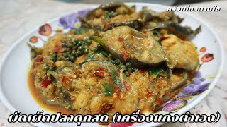 ผัดเผ็ดปลาดุกสด (เครื่องแกงตำเอง) | ครัวเที่ยวตามใจ Ep.981