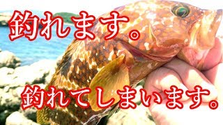 初めてのキジハタ（アコウ）を釣りたいならこれ！完全初心者のためのhatako流ジカリグ自作解説！