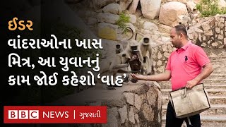 Idar ના આ યુવાનો અબોલ જીવોનાં પેટ ભરવાં રોજ ડુંગર ચઢે છે