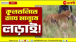 Kultali Tiger Update | কুলতলির মৈপীঠে লোকালয়ে বাঘের হানা,জখম বনকর্মী | Zee 24 Ghanta