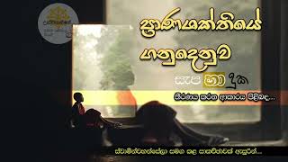 වස්සාන සමයේ කළ විශේෂ ධර්ම සාකච්ඡා 13 | Niwan Dakimu