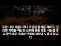 50대부터 꼭 실천해야 할 건강 습관 당신의 삶을 바꿉니다 더 건강한 중장년을 위한 필수 건강 수칙 7가지