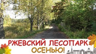 Ржевский Лесопарк. Прогулка по осеннему лесу!