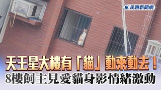 快新聞／天王星大樓有「貓」動來動去！　8樓飼主見愛貓身影情緒激動－民視新聞