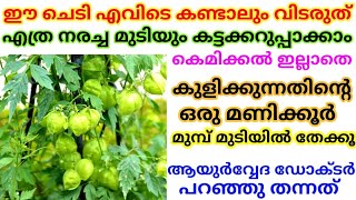 ഈ ചെടി പറിച്ചു കളയല്ലേ എത്ര നരച്ച മുടിയും കട്ടക്കറുപ്പാക്കാം||Natural Hair Dye||Uzhinja plant uses