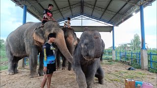 สวัสดีตอนเย็นที่บ้านน้องน้ำมนต์