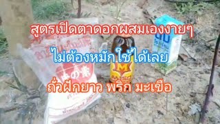 สูตรเปิดตาดอกถั่วฝักยาวพริกมะเขือทำเองไม่ต้องหมัก