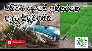 ගොයම් පැල සිටුවන යන්ත්‍රය / Rice Planting Machine