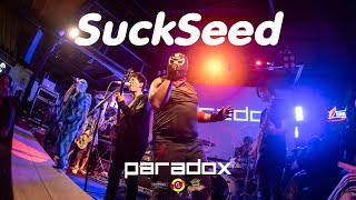 SuckSeed - PARADOX [Live] @ RINMA