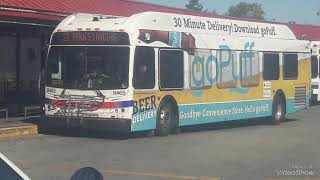 SEPTA WRAPS