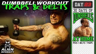 Home Dumbbell Shoulder Trap Workout | 30 Days to Build Pecs, Delts & Trap Muscles - Dumbbells Only!
