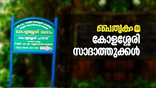 Paithrikam 51 Kolasseri Sadathukkal | പൈതൃകം 51 | കോളശ്ശേരി സാദാത്തുക്കൾ | M.T Shihabudheen Saquafi