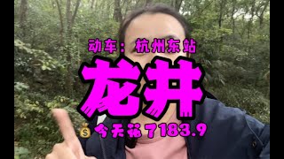 【杭州东站】龙井村喝茶，要花多少钱？