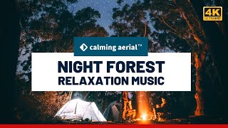 Night Forest Sounds Relaxation Music ✨ Relaxing Fall Asleep, Crickets, Owl, Deep Sleep Meditation