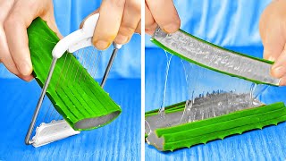 Brilhantes truques de Aloe Vera para problemas comuns