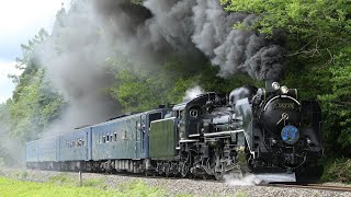 【往路最終日•汽笛あり】C58-239+キハ141系 4両 快速SL銀河 岩手上郷〜平倉通過