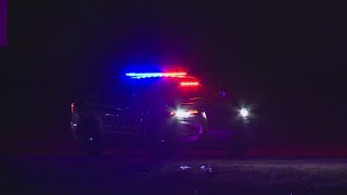 Pedestrian killed in crash on SH 130 near Tesla Road