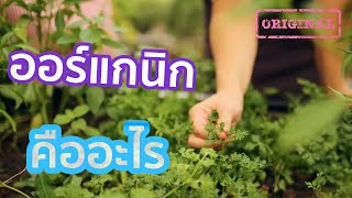 ออร์แกนิกคืออะไร  | รู้หรือไม่ - DYK