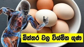 බිත්තර වල විශ්මිත ගුණ - Amazing properties of eggs