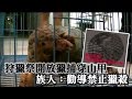 狩獵祭准獵穿山甲 花縣府挨轟 | 台灣蘋果日報