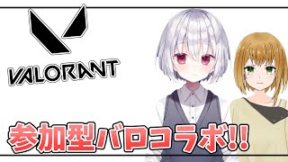 【Valorant/視聴者参加型】初心者さんでも参加OK!!参加型valorantコラボ!! 人数いたらカスタムマッチやるよ～!! w御初ちゃん【Vtuber ブイチューバー】