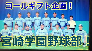 宮崎県高校野球コールギフト企画！宮崎学園高校夏の大会準優勝おめでとう！#サウスポー #野球 #高校野球 #甲子園 #スポーツ #草野球#トクサンTV #走れ！大井チャンネル #野球YouTuber向