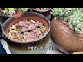 一周多的雨季，多肉一直露养，哪些品种好度夏？今天一起来看看