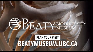 Beaty Biodiversity Museum, Vancouver's Natural History Museum