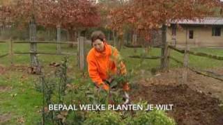 Floralux tuintip: Gemengde haag planten