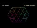 vida blue - "analog delay"