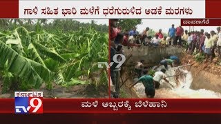 Heavy Rain, Wind Uproots Many Trees, Damages Crops in Davangere