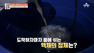 닭도 스트레스를 받는다? 갑부가 준비한 닭들을 위한 영양제! | 서민갑부 353 회