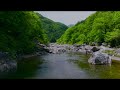 가평 계곡과 폭포 cinematic korea 4k valley of gapyeong