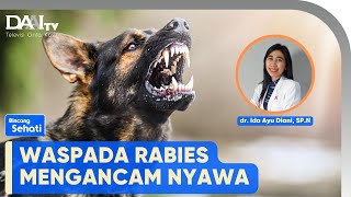 Hati-hati Rabies Bisa Menular Antarsesama Manusia | Bincang Sehati