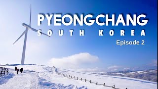 [4K] Pyeongchang | Walking Tour in Daegwallyeong Sky Ranch during Winter Season | Episode 2