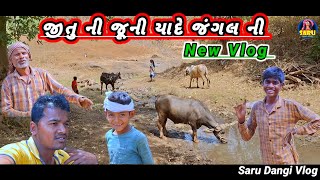 જીતુ ની જૂની યાદે જંગલ ની 🥰 New Vlog Dangi Comedy Video Jitu Ni Juni Yaade Jungel Ni  #sarudangivlog