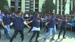 CBIT EEE DEPARTMENT FLASH  MOB IN  ELECTRET 2014