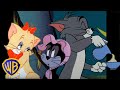 Tom  Jerry | Purrrrfect Cats! 😻 | Classic Cartoon Compilation | @wbkids​
