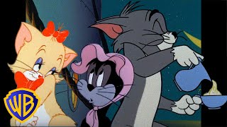 Tom & Jerry | Purrrrfect Cats! 😻 | Classic Cartoon Compilation | @wbkids​