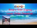 Binary Tree Zigzag Level Order Traversal | LeetCode 103 | Queue STL | Iterative Solution