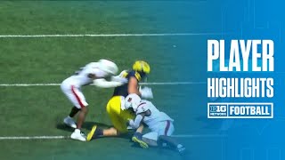 Davis Warren Highlights vs. Arkansas State | Michigan Football | 09/14/2024