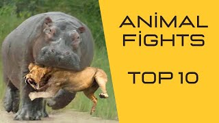 10 CRAZIEST Animal Fights Caught On Camera