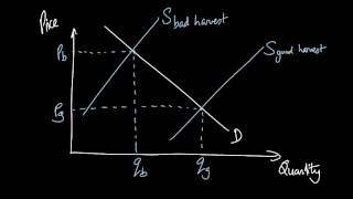AS Economics Intervention #5: Buffer Stocks to stabilise prices